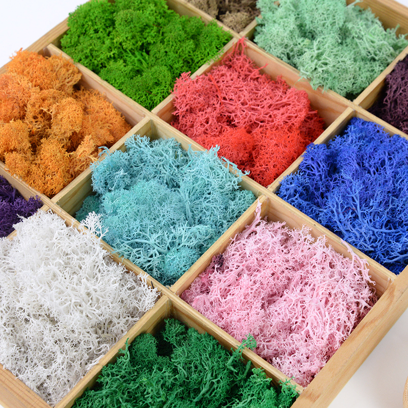 Sphagnum Moss Dry - 20/40g Artificial Green Plants Eternal Life