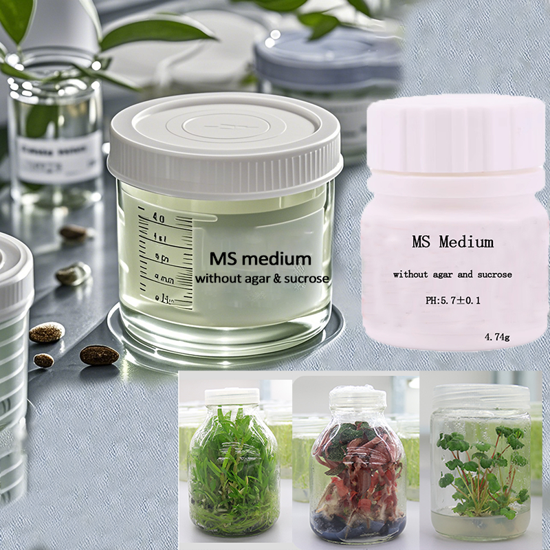 MS medium Without Agar Or Sucr - Agar Tissue Culture review and price