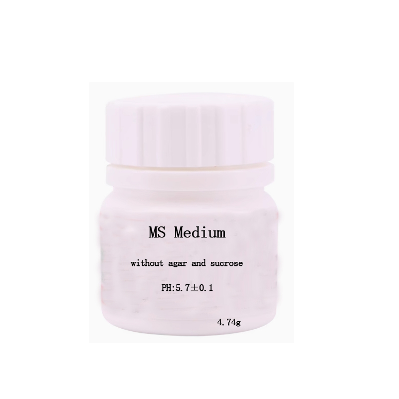 MS medium Without Agar Or Sucr - Agar Tissue Culture review and price