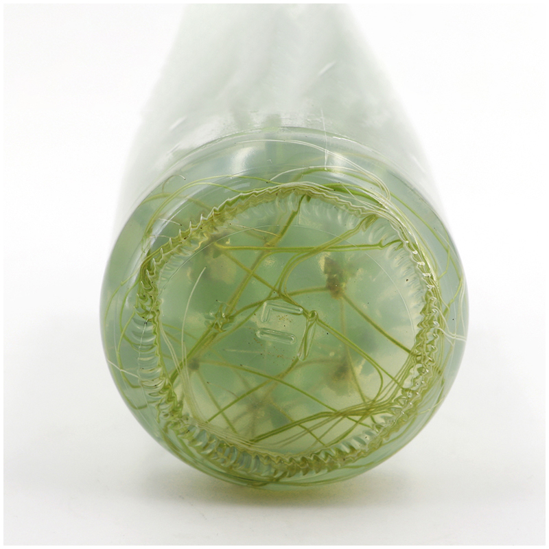 MS medium Without Agar Or Sucr - Agar Tissue Culture review and price