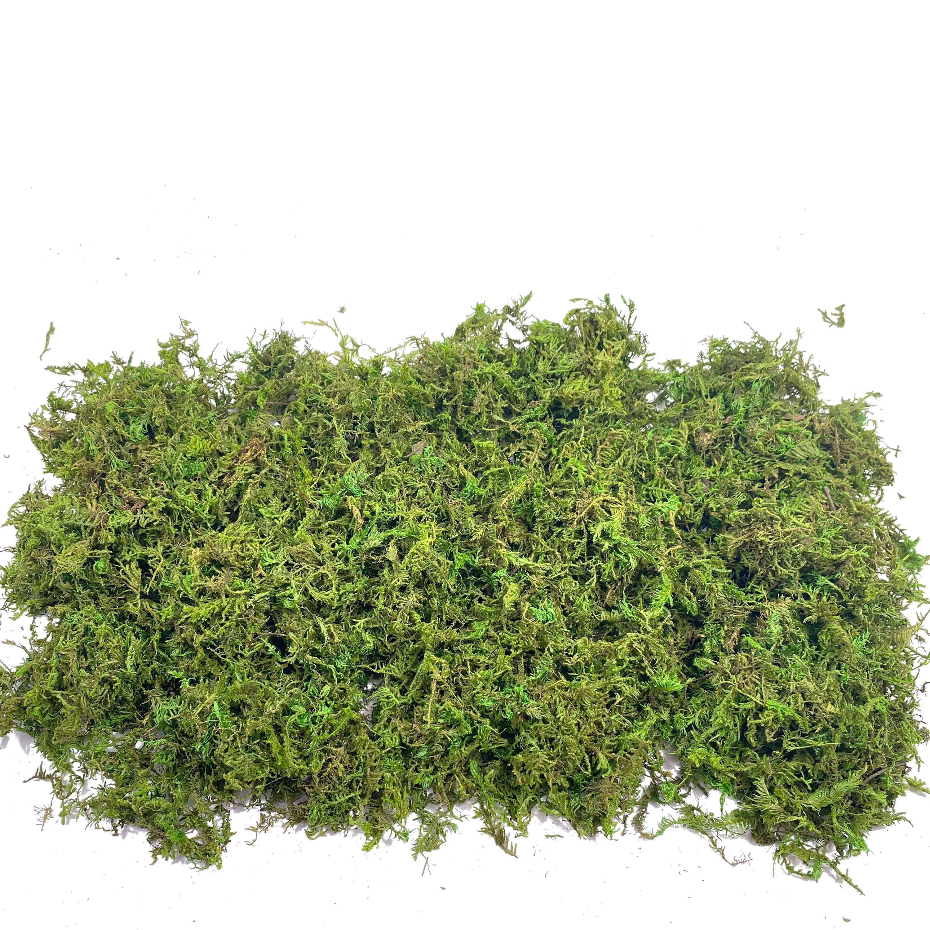 Fake Moss Artificial Moss for  - Sphagnum Moss Dry review and price