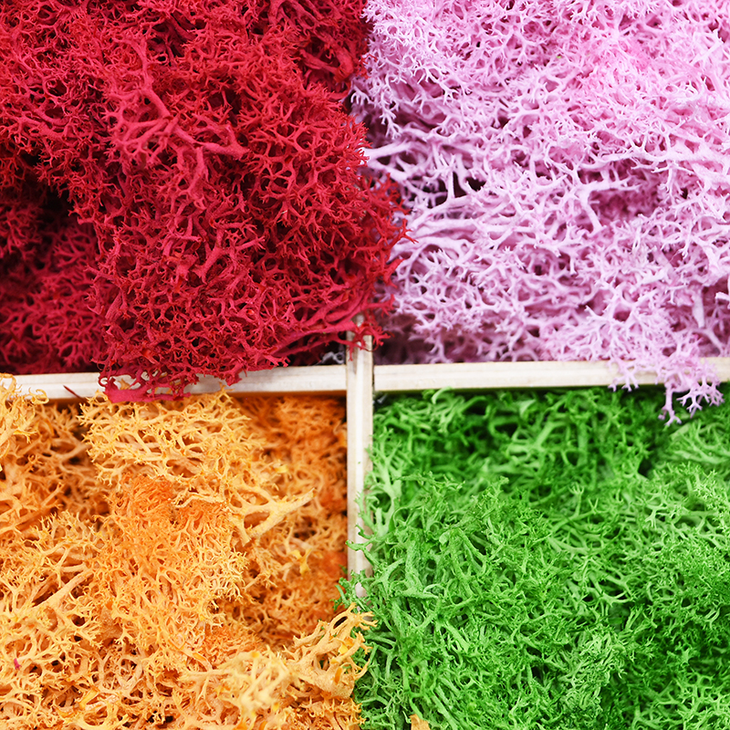 20/40g Artificial Green Plants - Sphagnum Moss Dry review and price