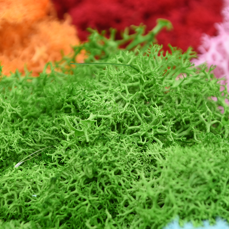 20/40g Artificial Green Plants - Sphagnum Moss Dry review and price