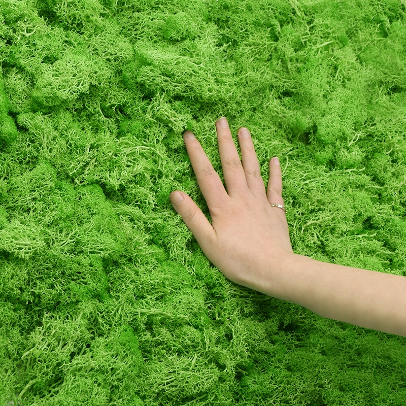 20/40g Artificial Green Plants - Sphagnum Moss Dry review and price