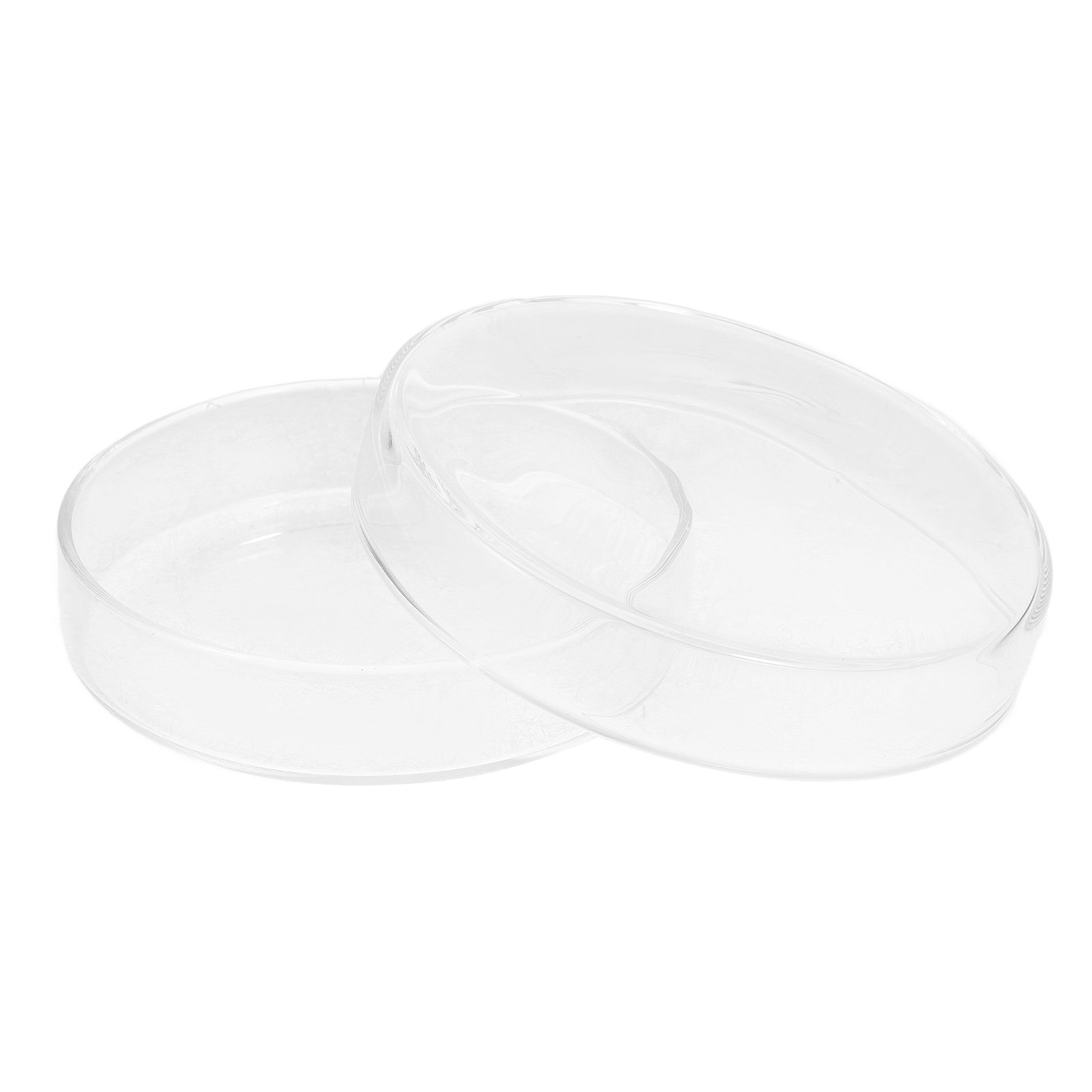 Glass Petri Dish High Borosili - Agar Tissue Culture review and price