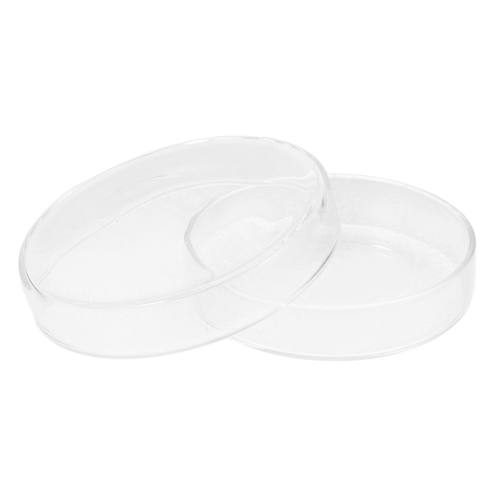 Glass Petri Dish High Borosili - Agar Tissue Culture review and price