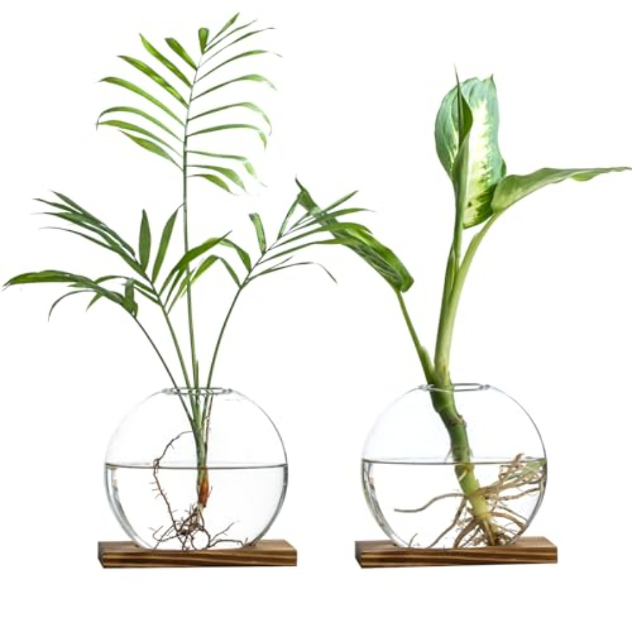 Glass Planter Propagation Stat - Propagation Station Vase review and price