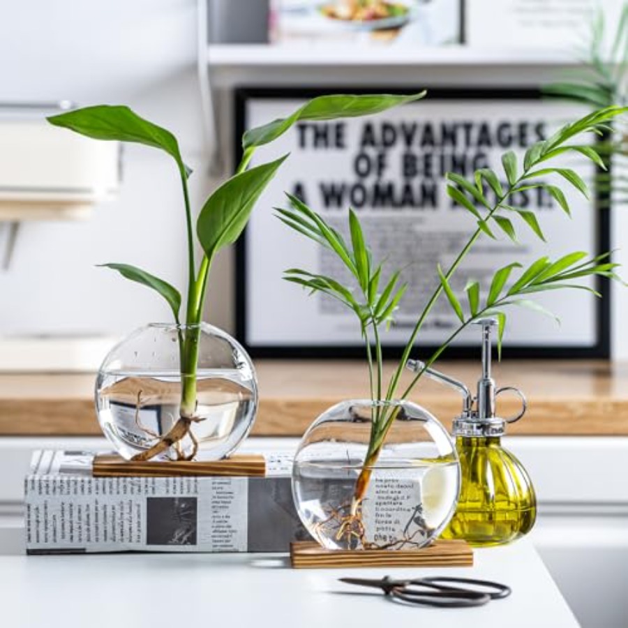 Glass Planter Propagation Stat - Propagation Station Vase review and price