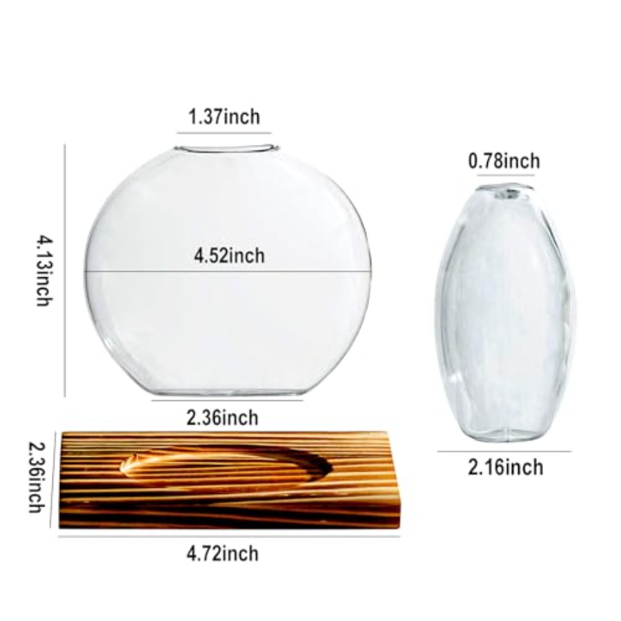 Glass Planter Propagation Stat - Propagation Station Vase review and price