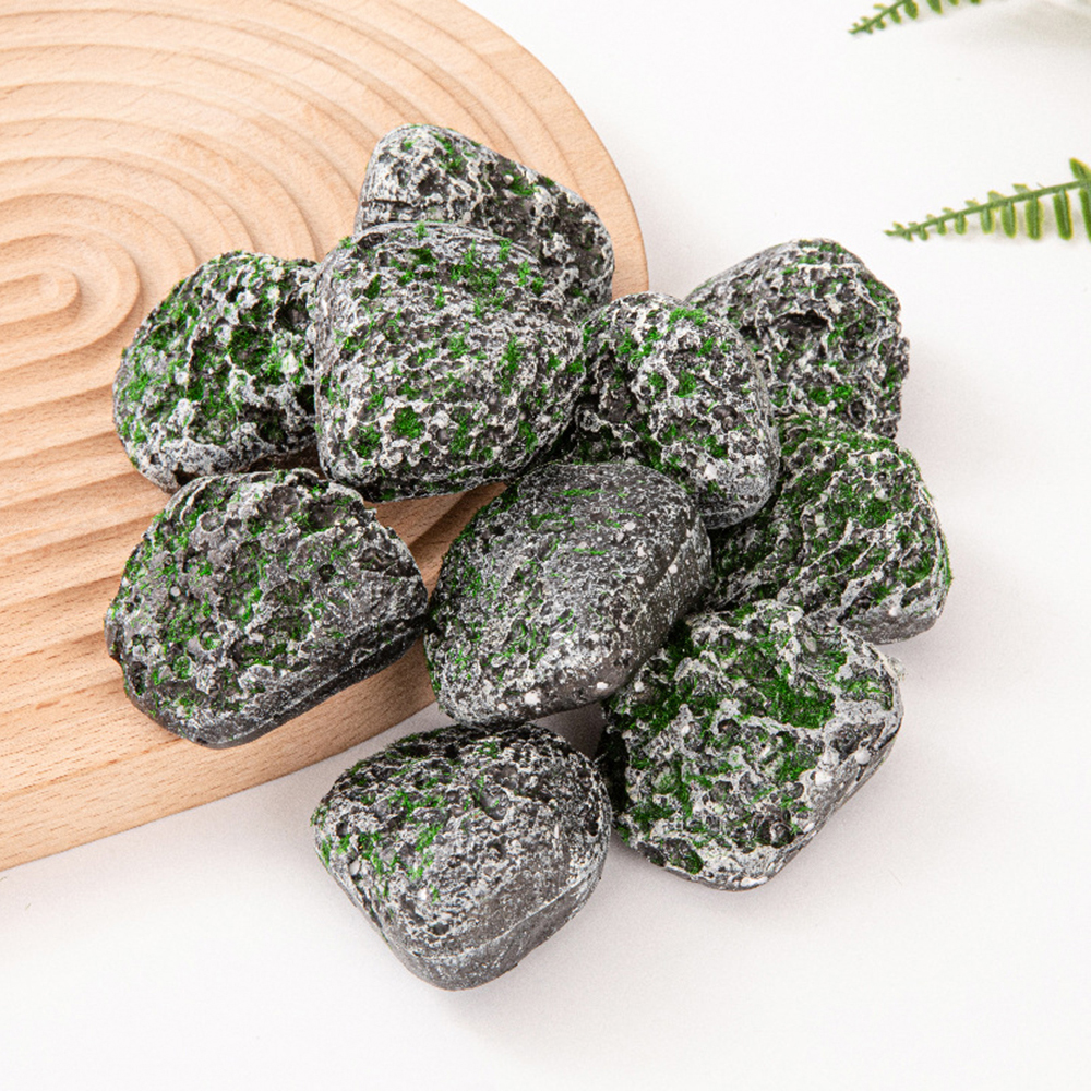 10PCS Mossy Gray Stone Multi-s - Sphagnum Moss Dry review and price