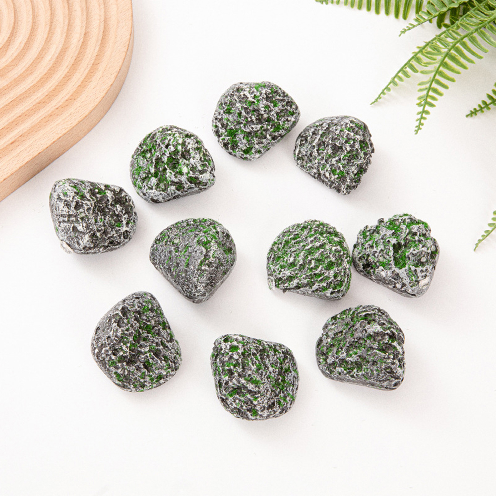 10PCS Mossy Gray Stone Multi-s - Sphagnum Moss Dry review and price