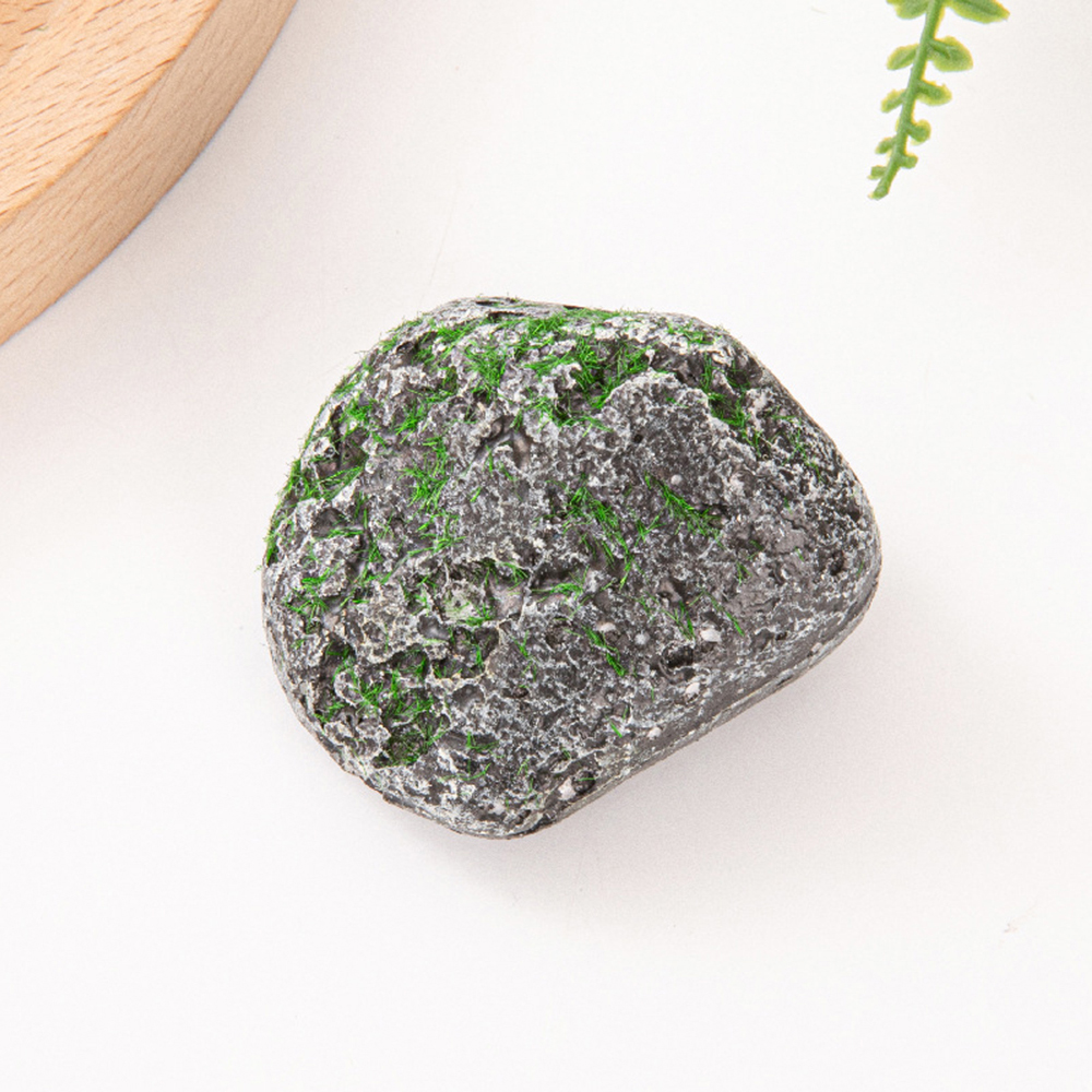 10PCS Mossy Gray Stone Multi-s - Sphagnum Moss Dry review and price