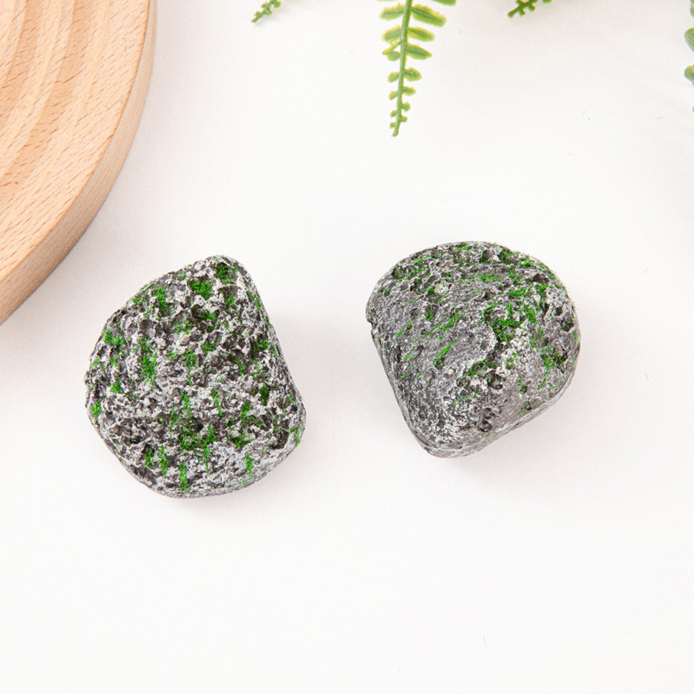 10PCS Mossy Gray Stone Multi-s - Sphagnum Moss Dry review and price