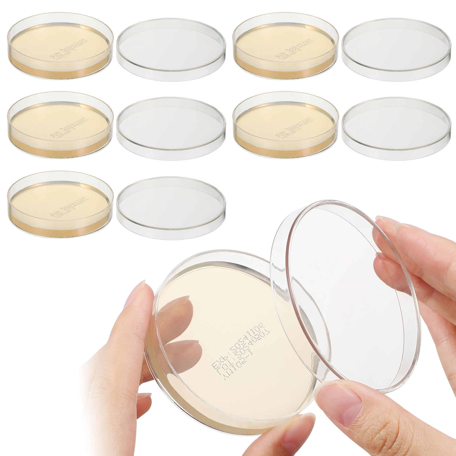 Agar Plates 10pcs Ready to Use - Agar Tissue Culture review and price