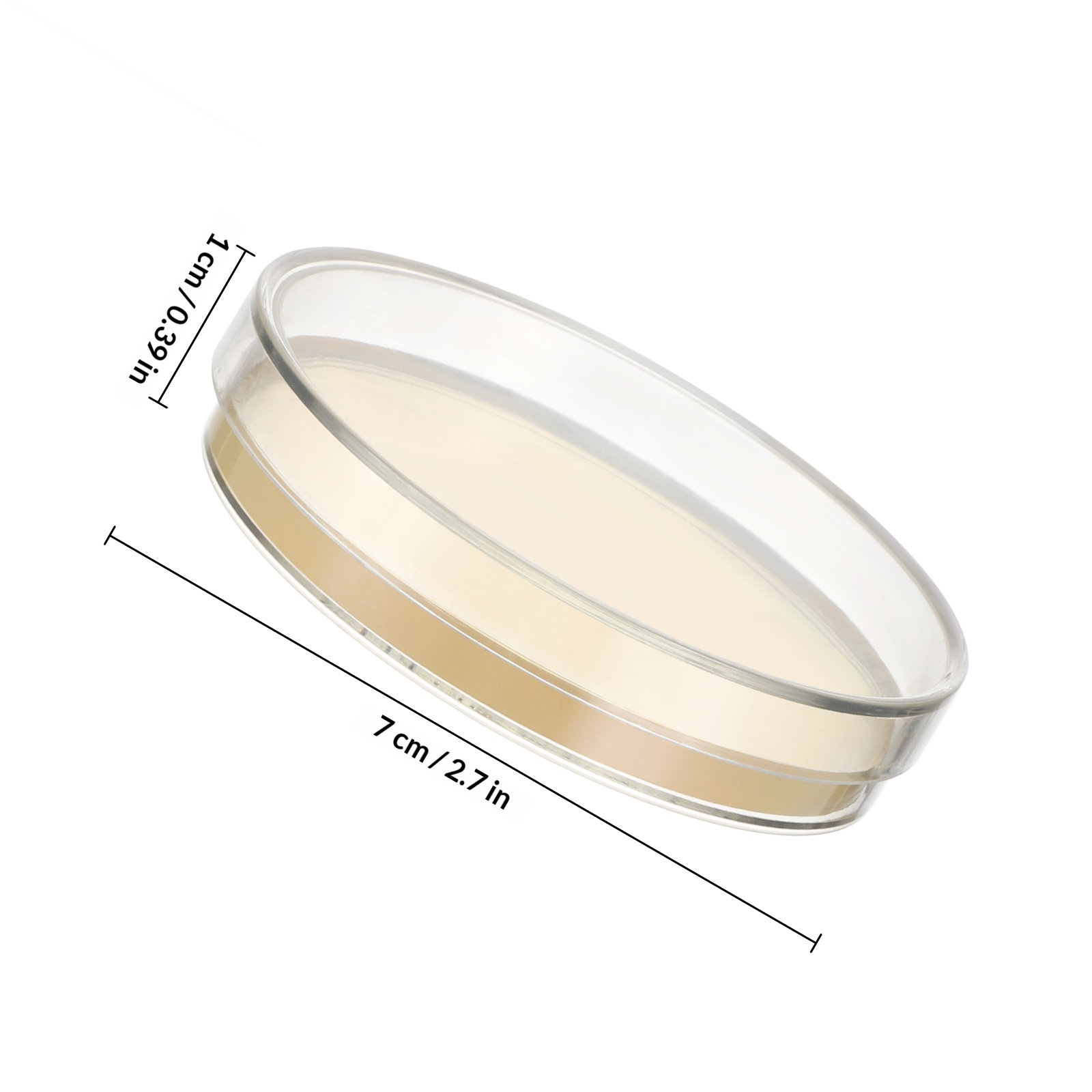 Agar Plates 10pcs Ready to Use - Agar Tissue Culture review and price
