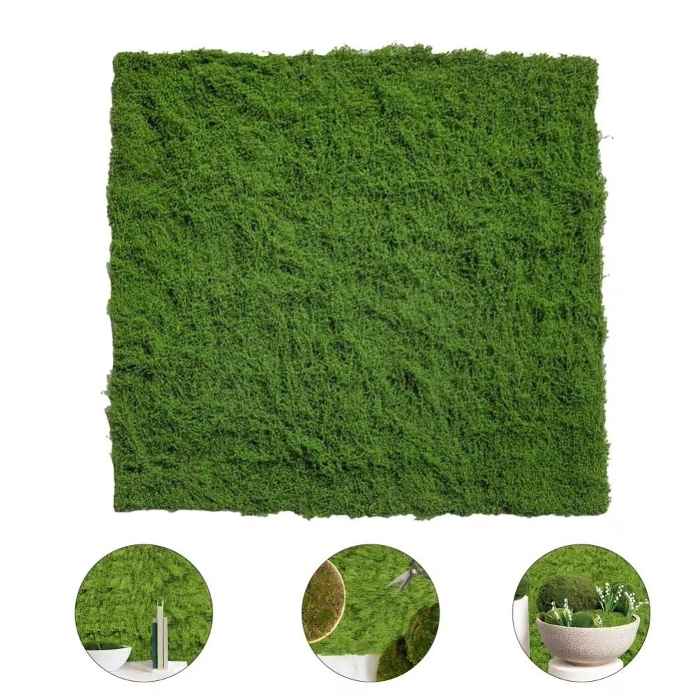 DIY Artificial Grass Rug Lifel - Sphagnum Moss Dry review and price
