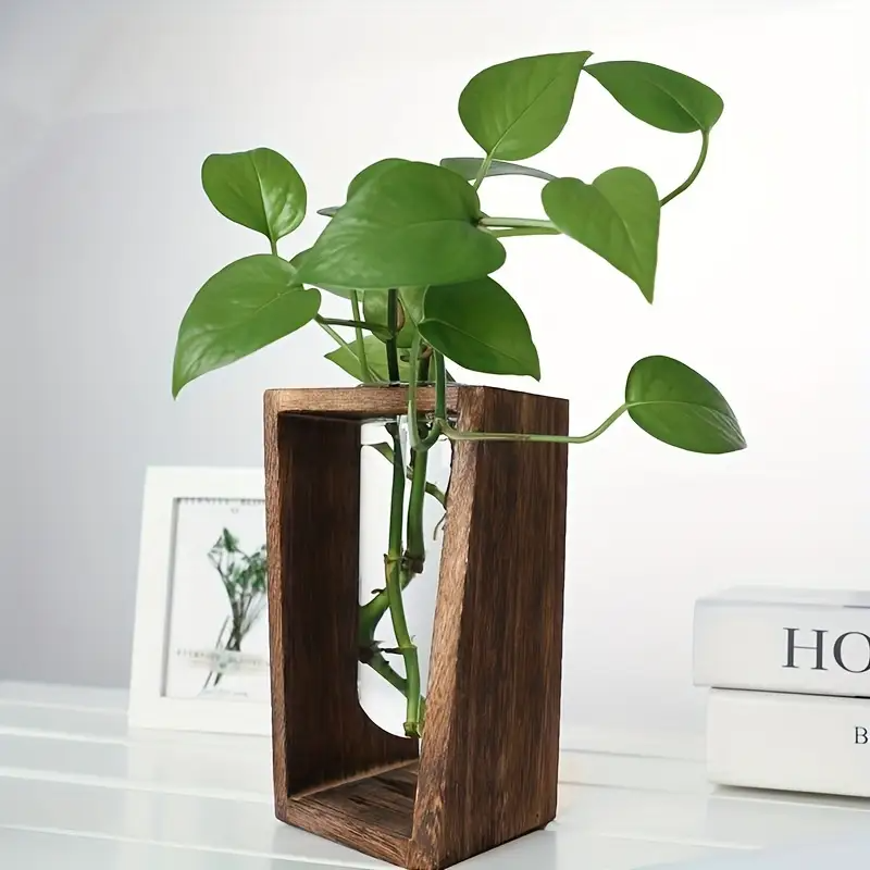 Modern Wood Propagation Vase - - Propagation Station Vase review and price