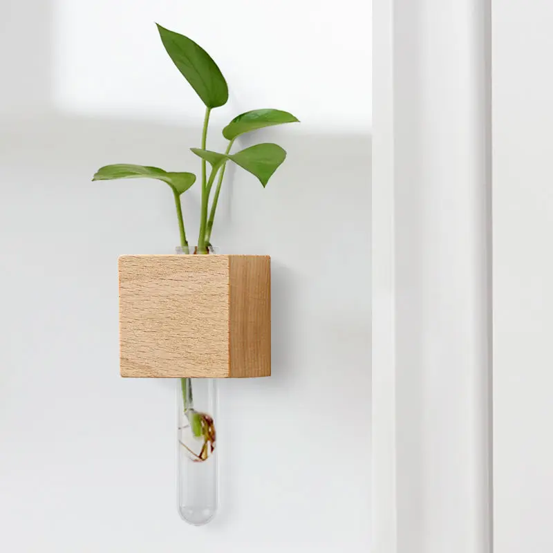 Refrigerator Stickers Test Tub - Propagation Station Vase review and price