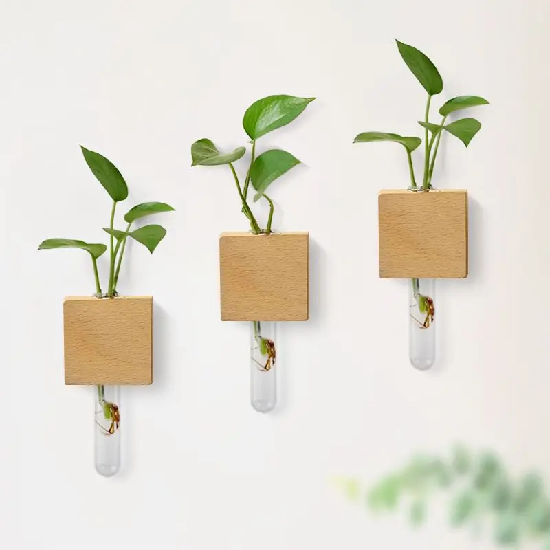 Refrigerator Stickers Test Tub - Propagation Station Vase review and price