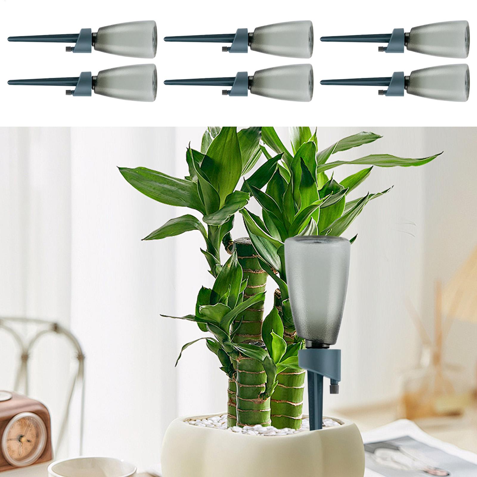 6pcs Automatic Waterer Househo - Self Watering Insert review and price