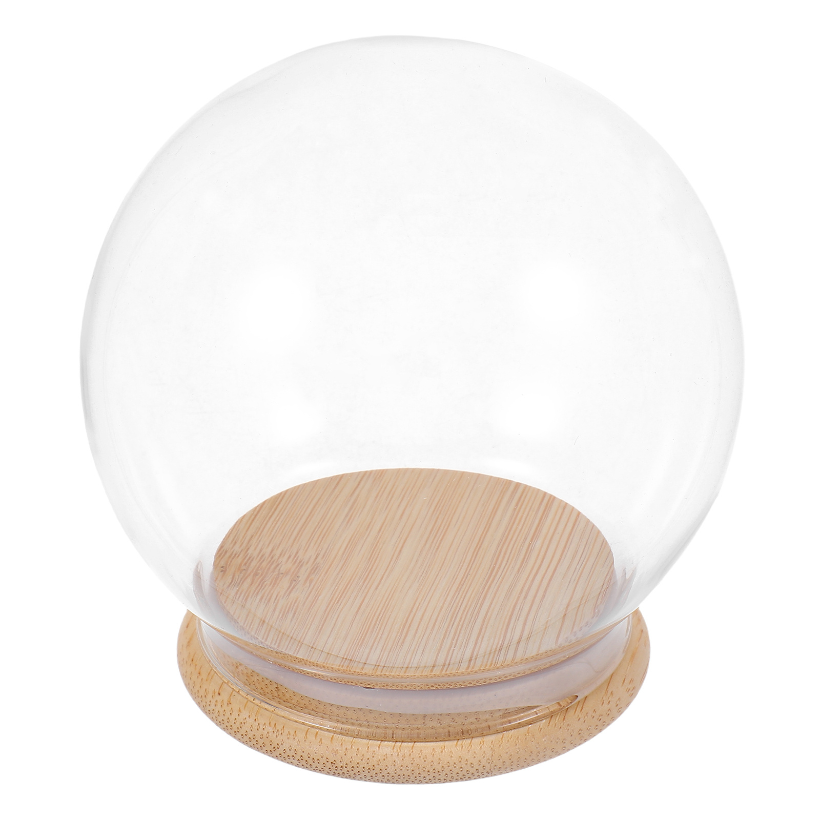 Glass Dome Eternal Flower Disp - Plastic Dome Clear review and price