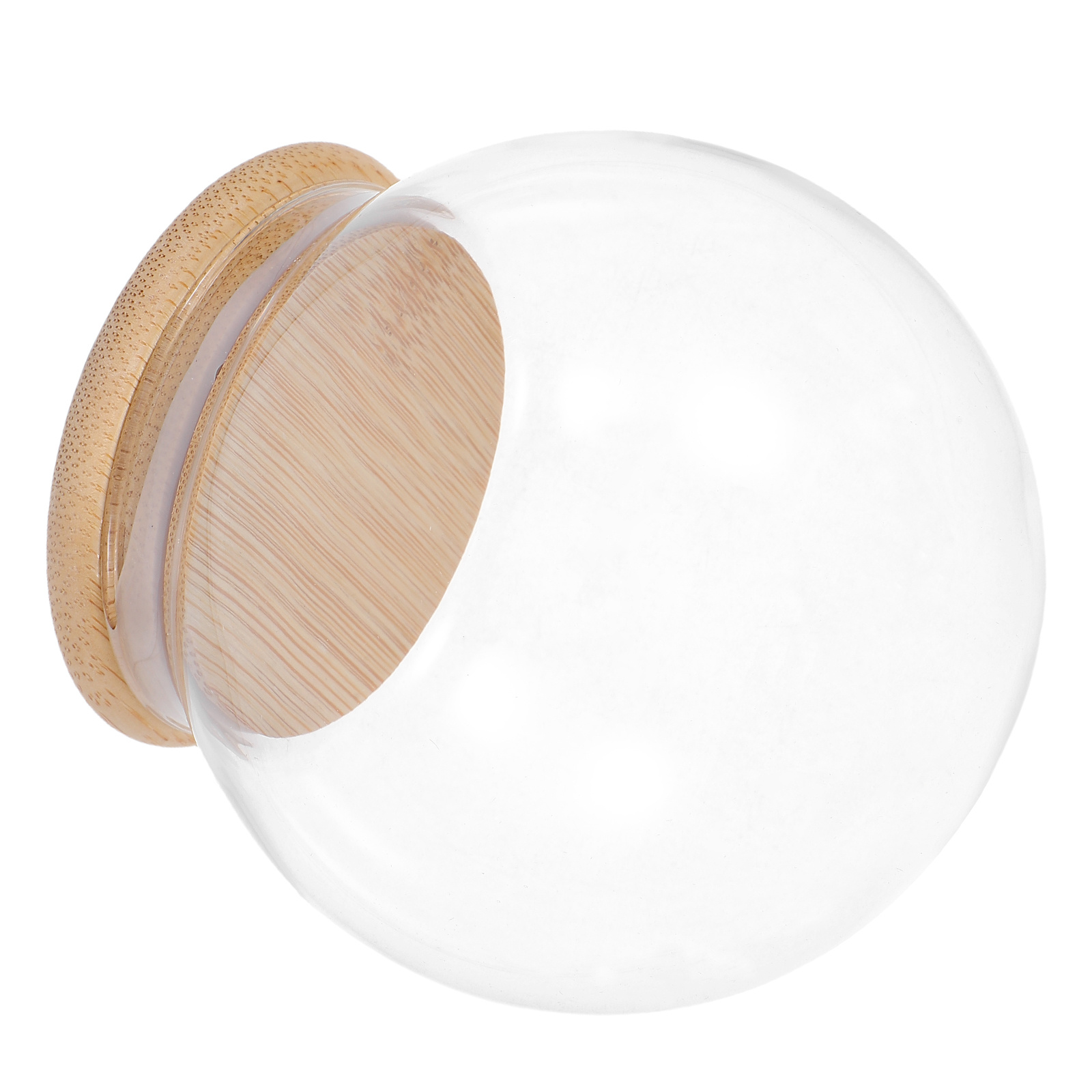 Glass Dome Eternal Flower Disp - Plastic Dome Clear review and price