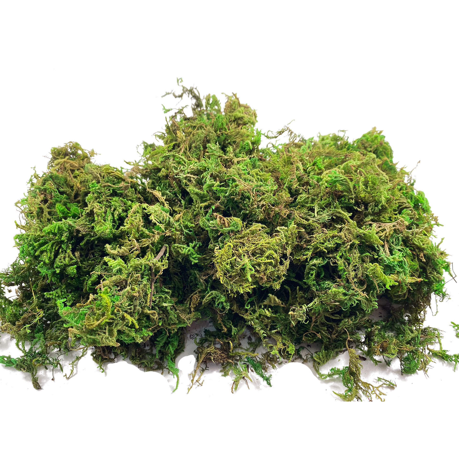 Artificial Fake Moss, Craft Mo - Sphagnum Moss Dry review and price
