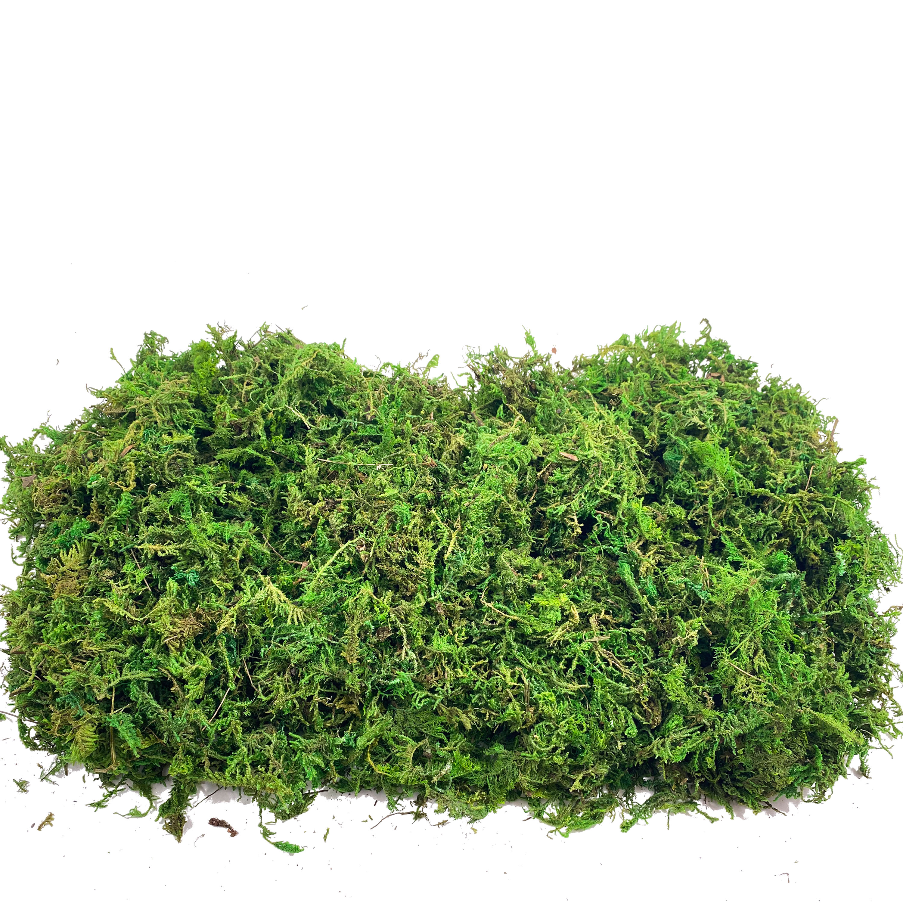 Artificial Fake Moss, Craft Mo - Sphagnum Moss Dry review and price