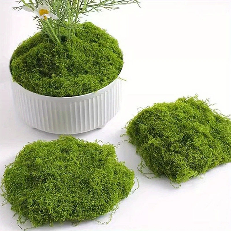 1 \ 5 \ 8 pcs artificial simul - Sphagnum Moss Dry review and price