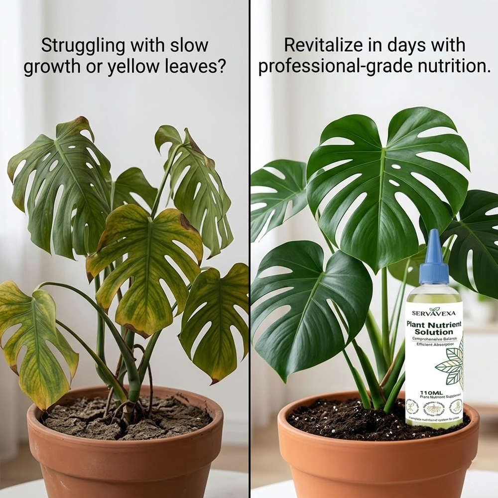 Plant  Nutrient Solution Rapid - Root Stimulator Liquid review and price