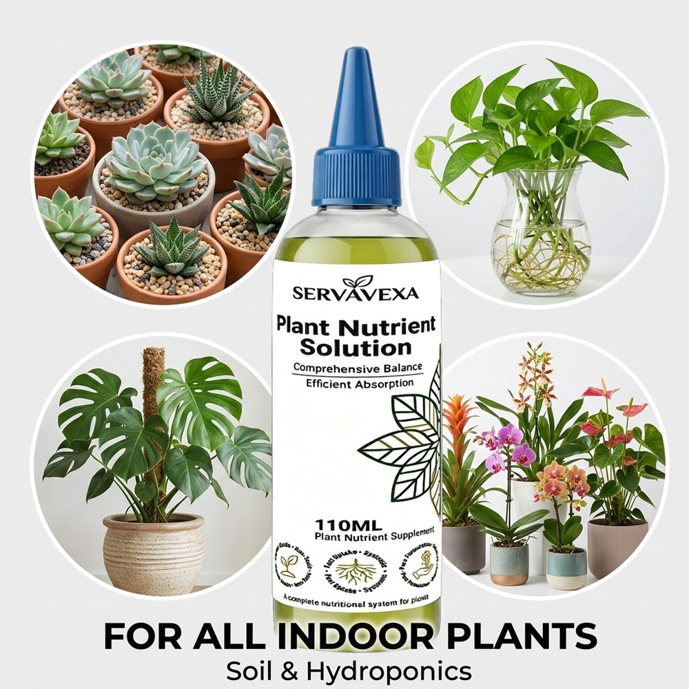 Plant  Nutrient Solution Rapid - Root Stimulator Liquid review and price