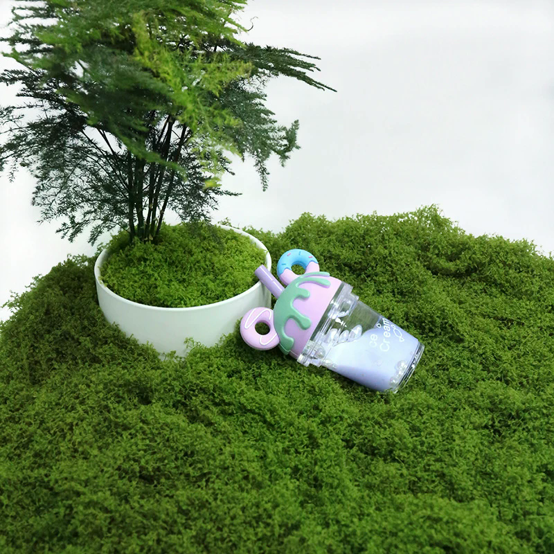 50g Fake Moss DIY Crafts Grass - Sphagnum Moss Dry review and price