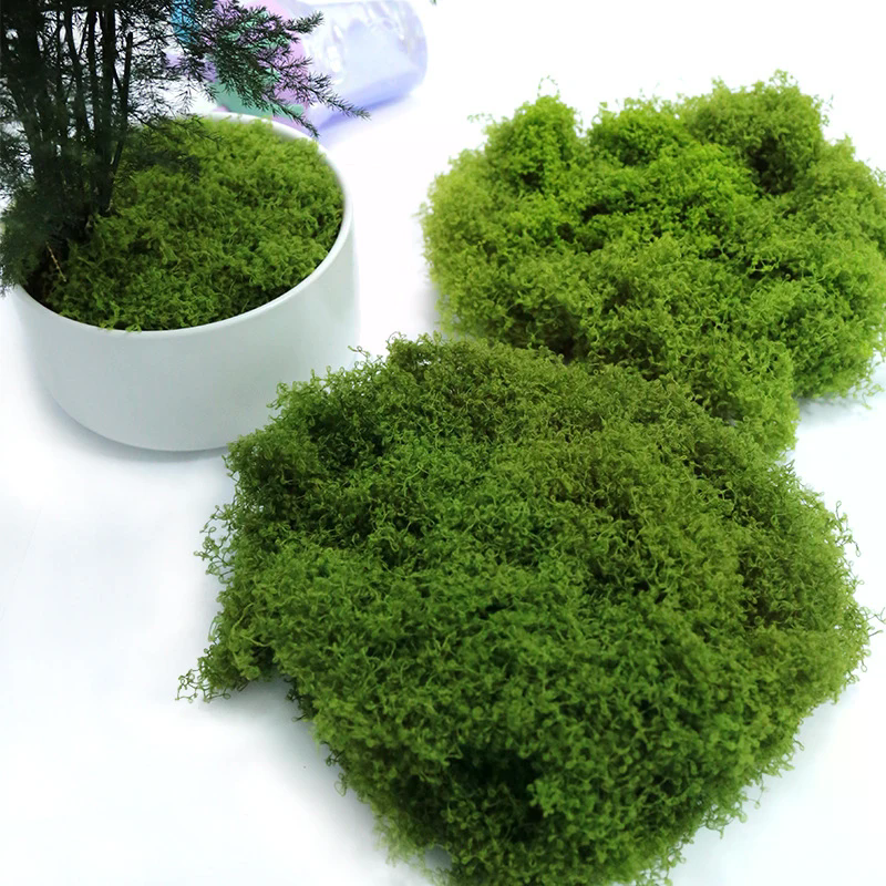 50g Fake Moss DIY Crafts Grass - Sphagnum Moss Dry review and price