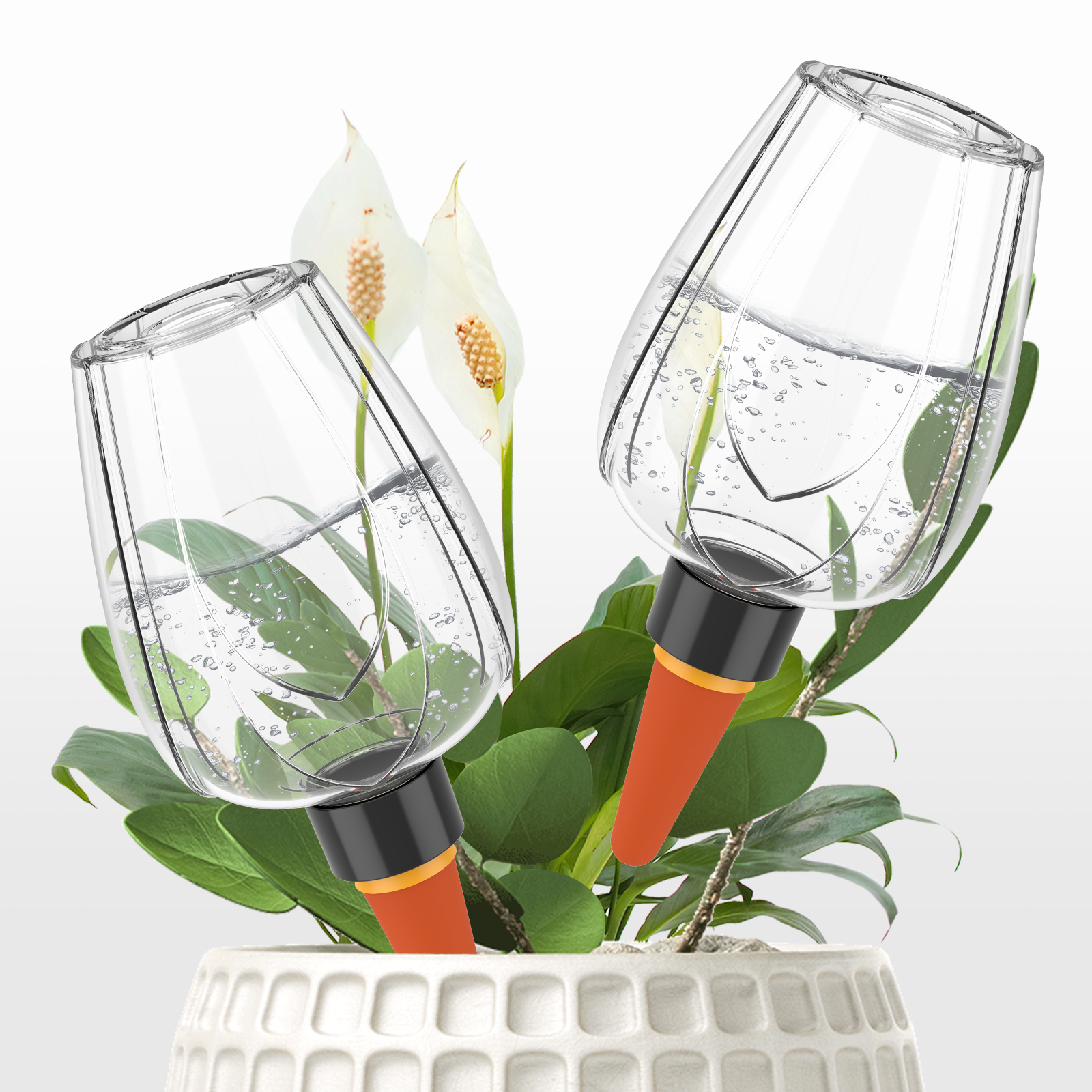 4Pcs Plant Watering Globe Clea - Self Watering Insert review and price