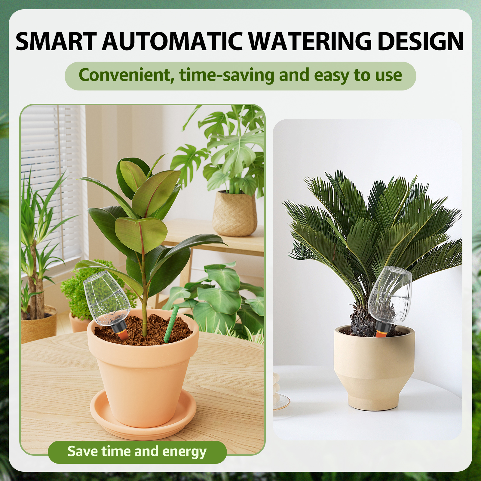 4Pcs Plant Watering Globe Clea - Self Watering Insert review and price