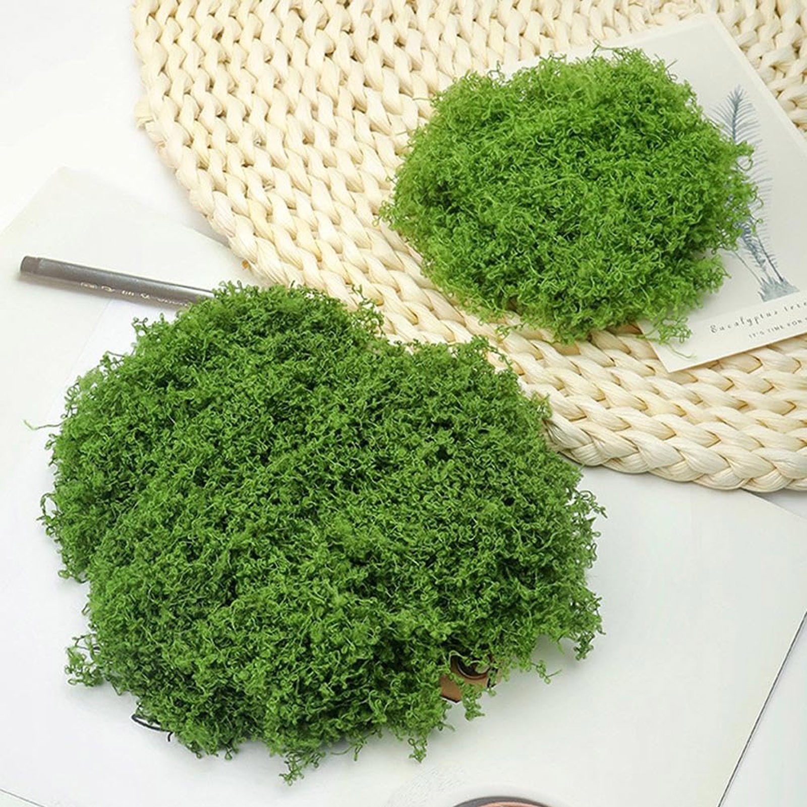 50/200g Artificial Moss For De - Sphagnum Moss Dry review and price