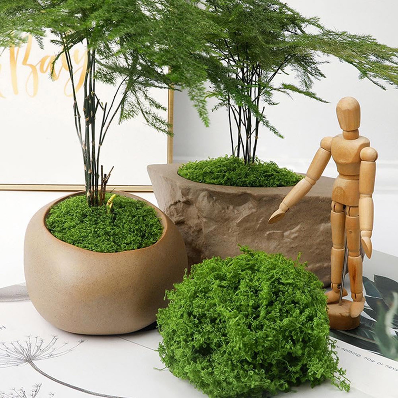 50/200g Artificial Moss For De - Sphagnum Moss Dry review and price