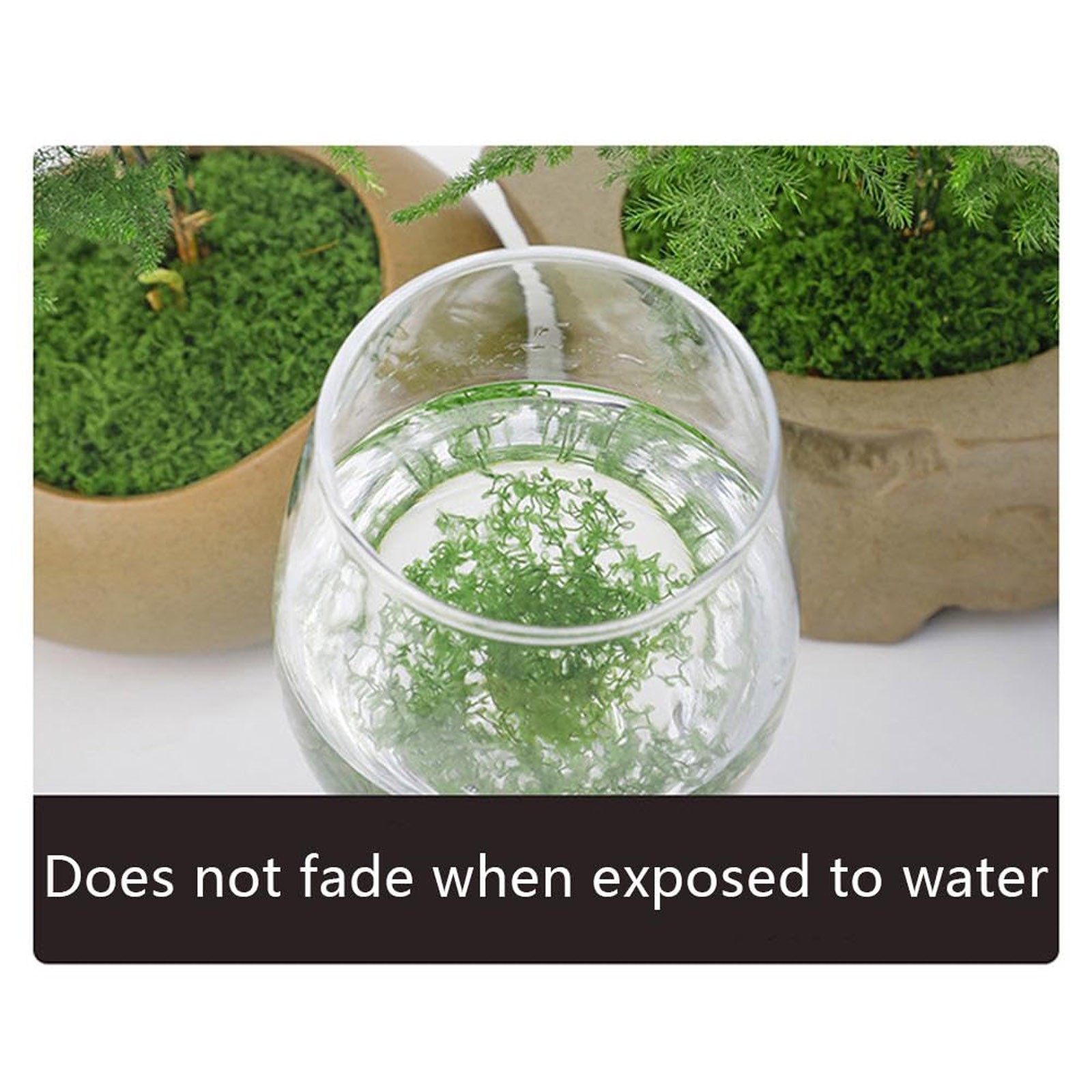 50/200g Artificial Moss For De - Sphagnum Moss Dry review and price
