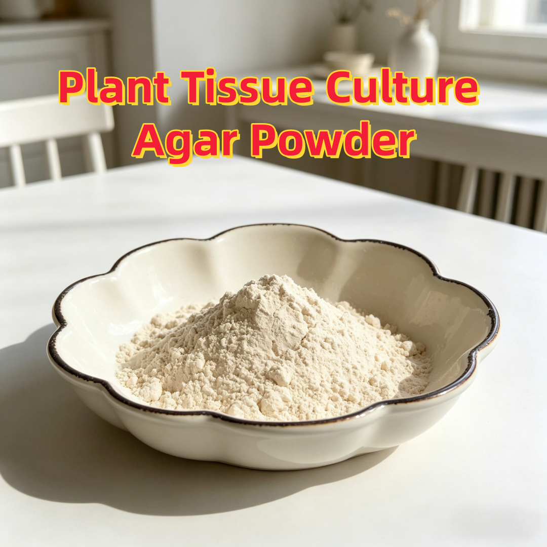 High Gel Strength Plant Tissue - Agar Tissue Culture review and price