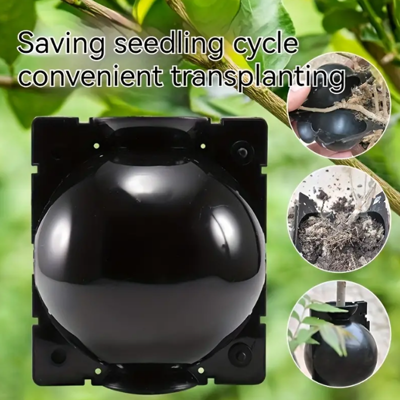 Garden Orchard Plants Grafting - Rooting Gel Clone review and price
