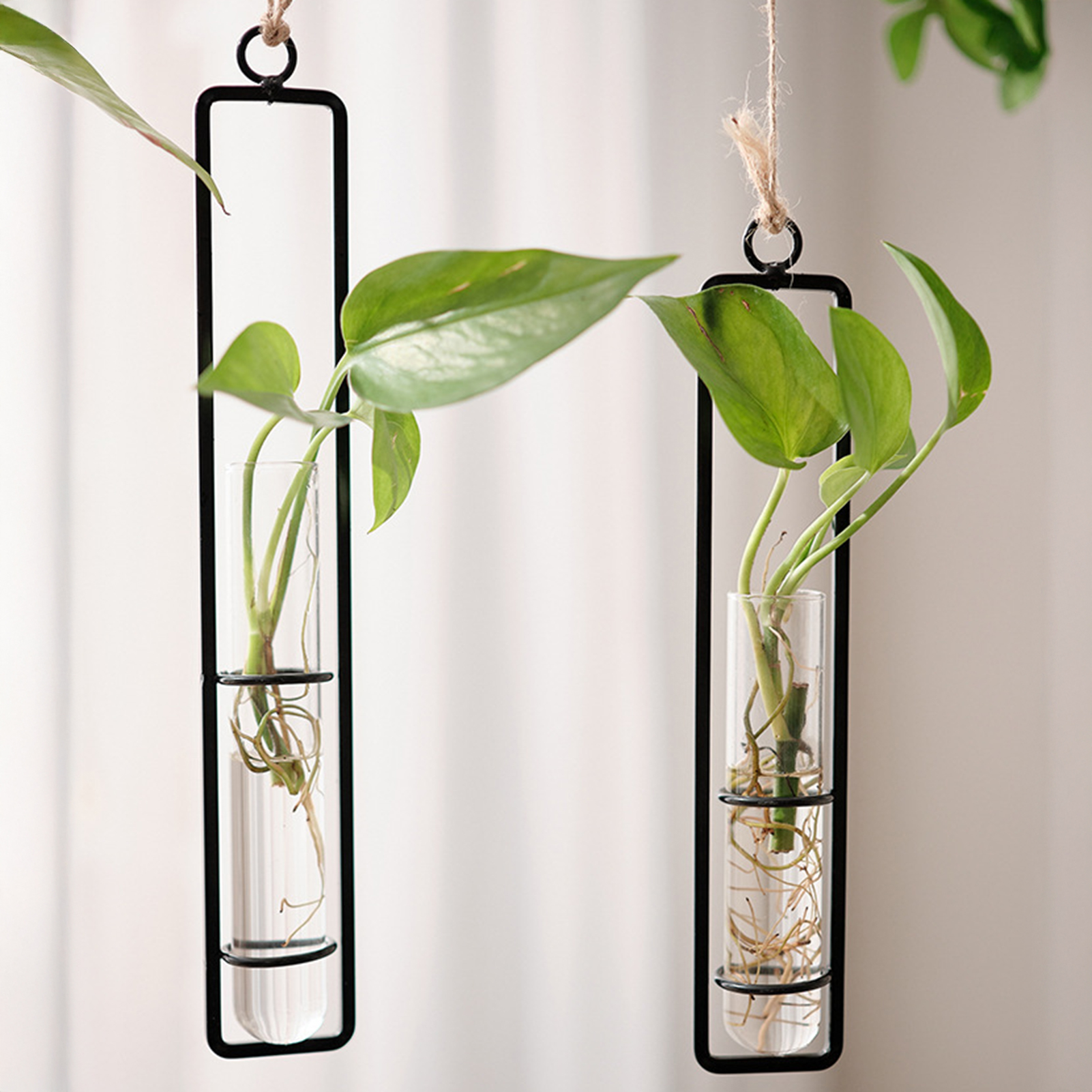 Wall Hanging Glass Vase Europe - Propagation Station Vase review and price