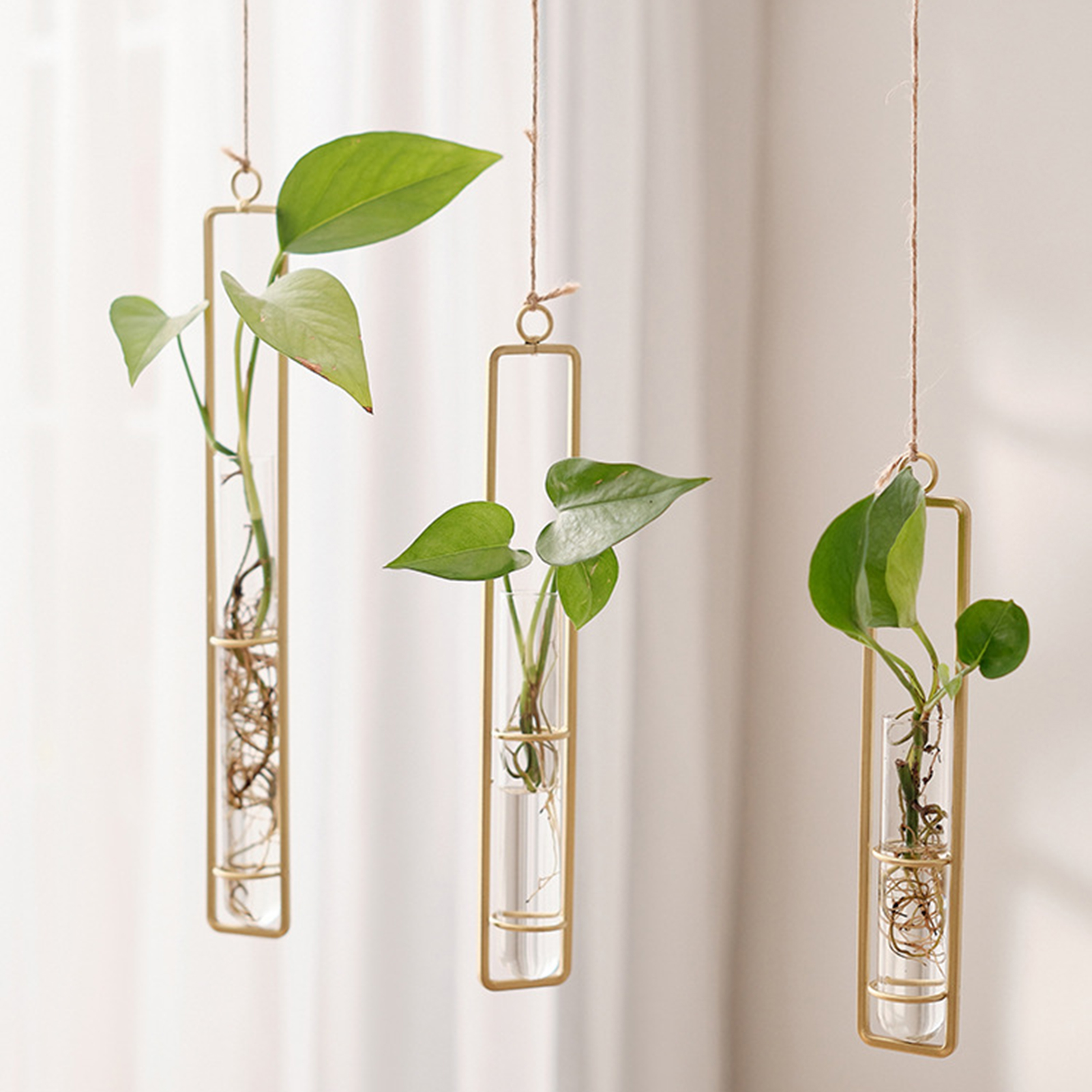 Wall Hanging Glass Vase Europe - Propagation Station Vase review and price