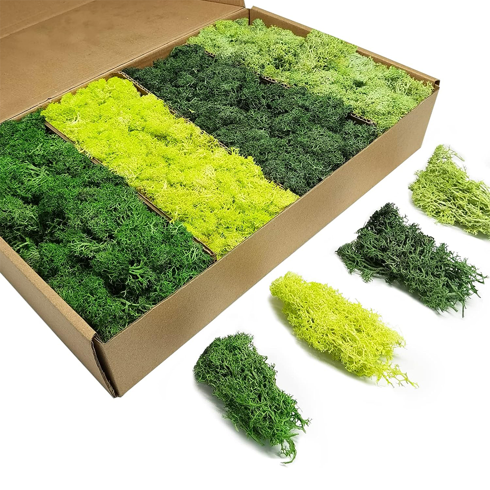Artificial Green Plants Eterna - Sphagnum Moss Dry review and price