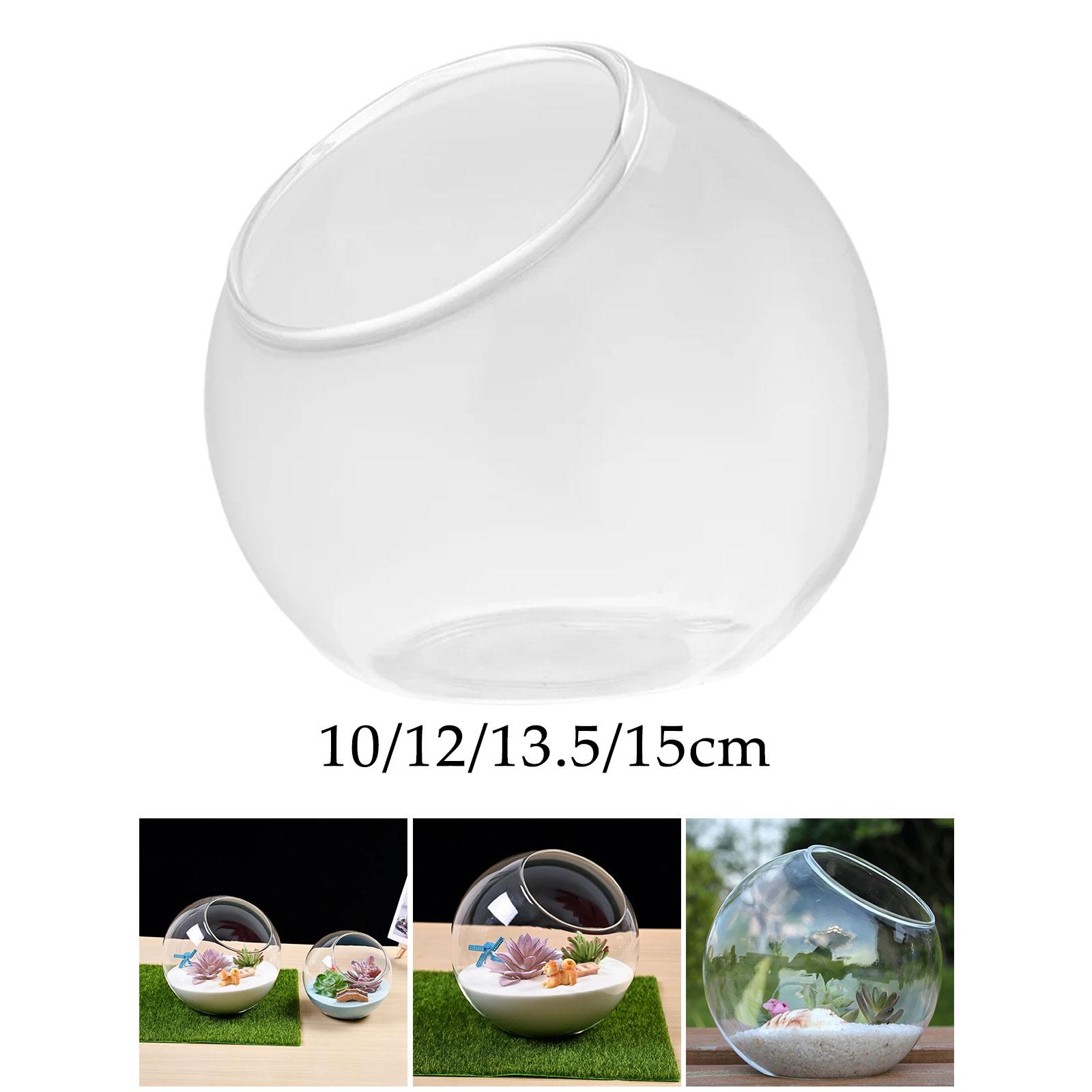 Terrarium Glass Vase Unique Ce - Propagation Station Vase review and price