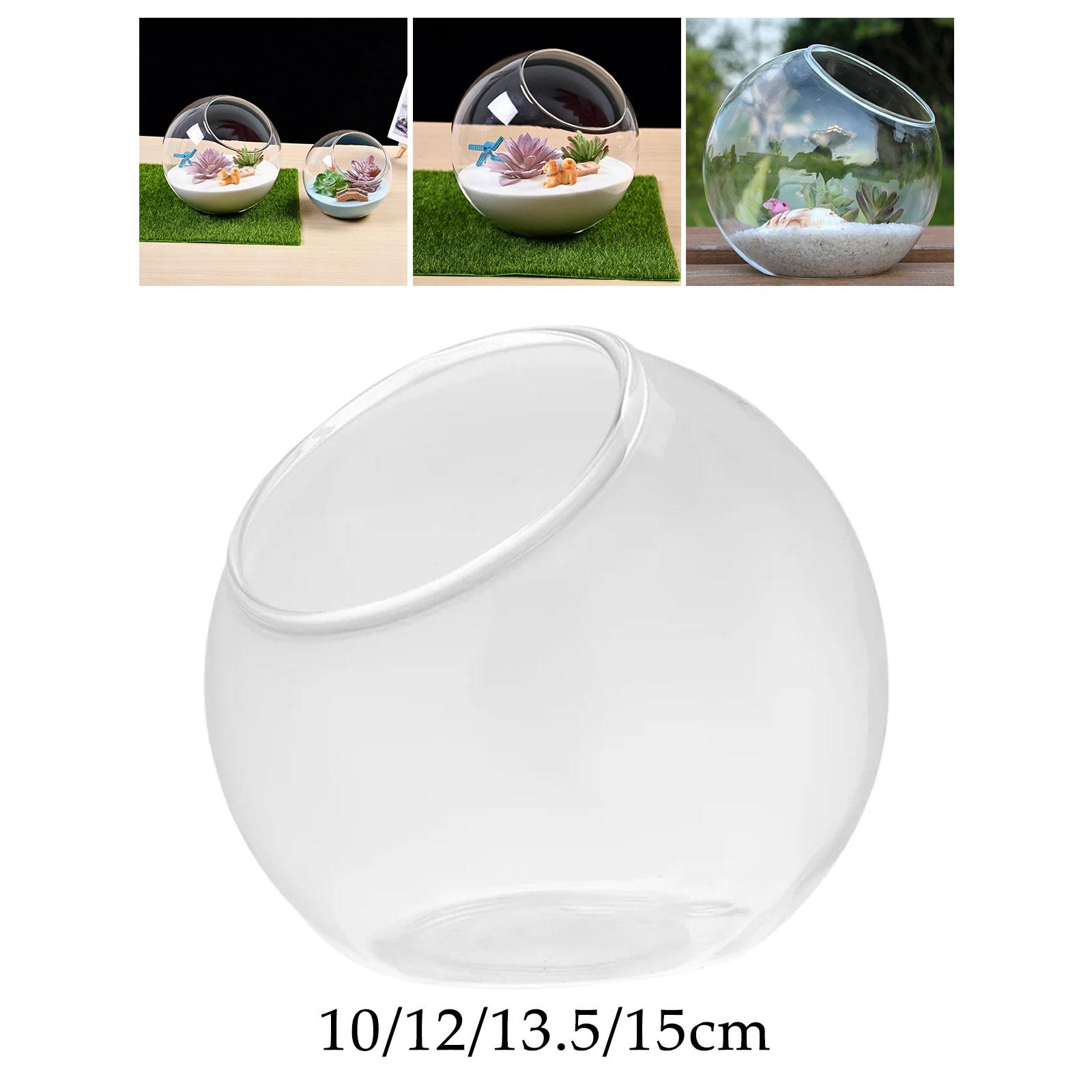 Terrarium Glass Vase Unique Ce - Propagation Station Vase review and price