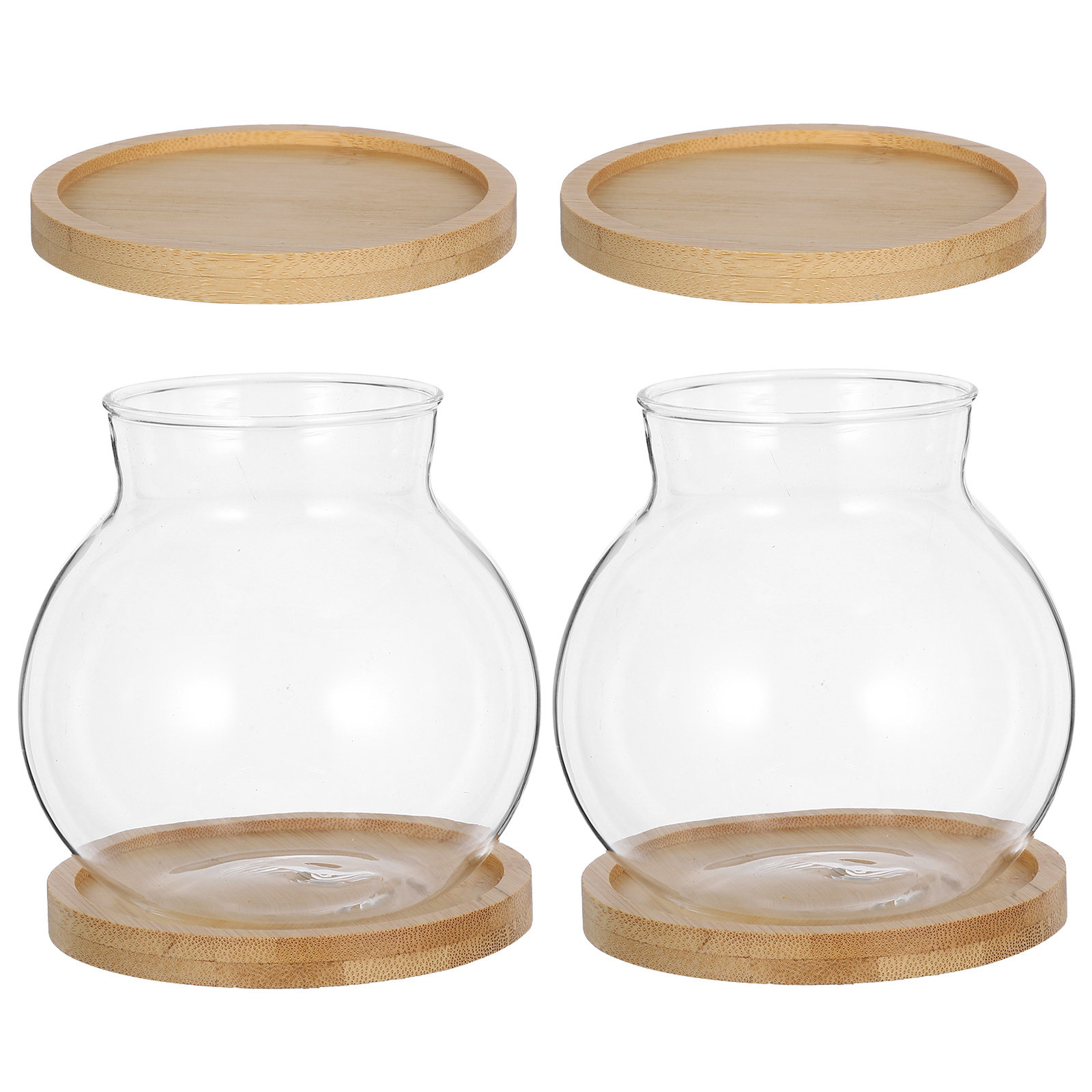 2Set Hydroponic Vase Glass Pla - Propagation Station Vase review and price