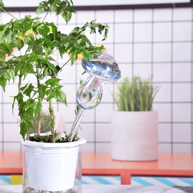 1/2PCS Glass Straw Automatic P - Self Watering Insert review and price