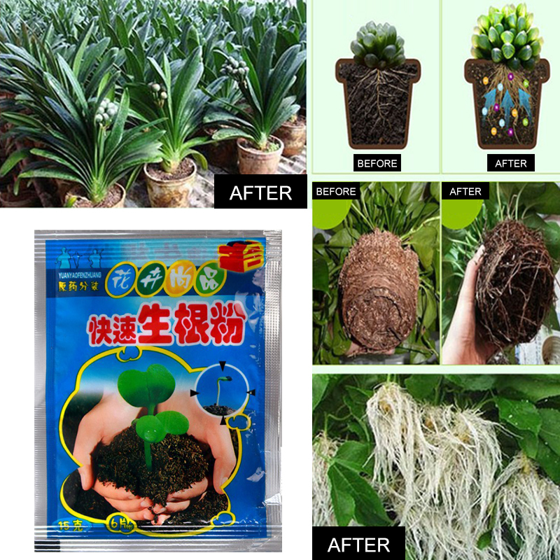 5pcs Fast Rooting Powder Plant - Rooting Hormone Powder review and price