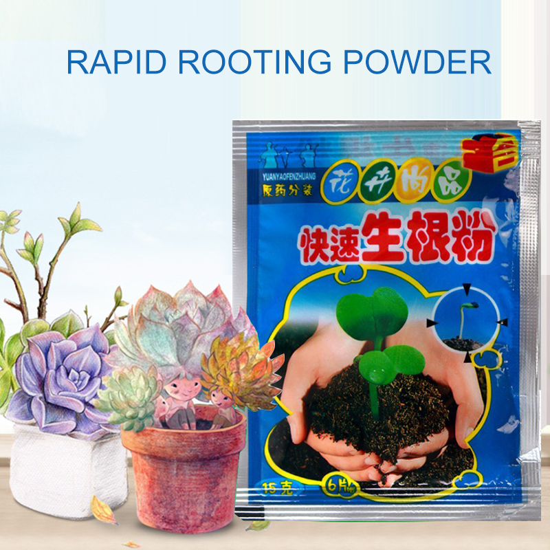 5pcs Fast Rooting Powder Plant - Rooting Hormone Powder review and price