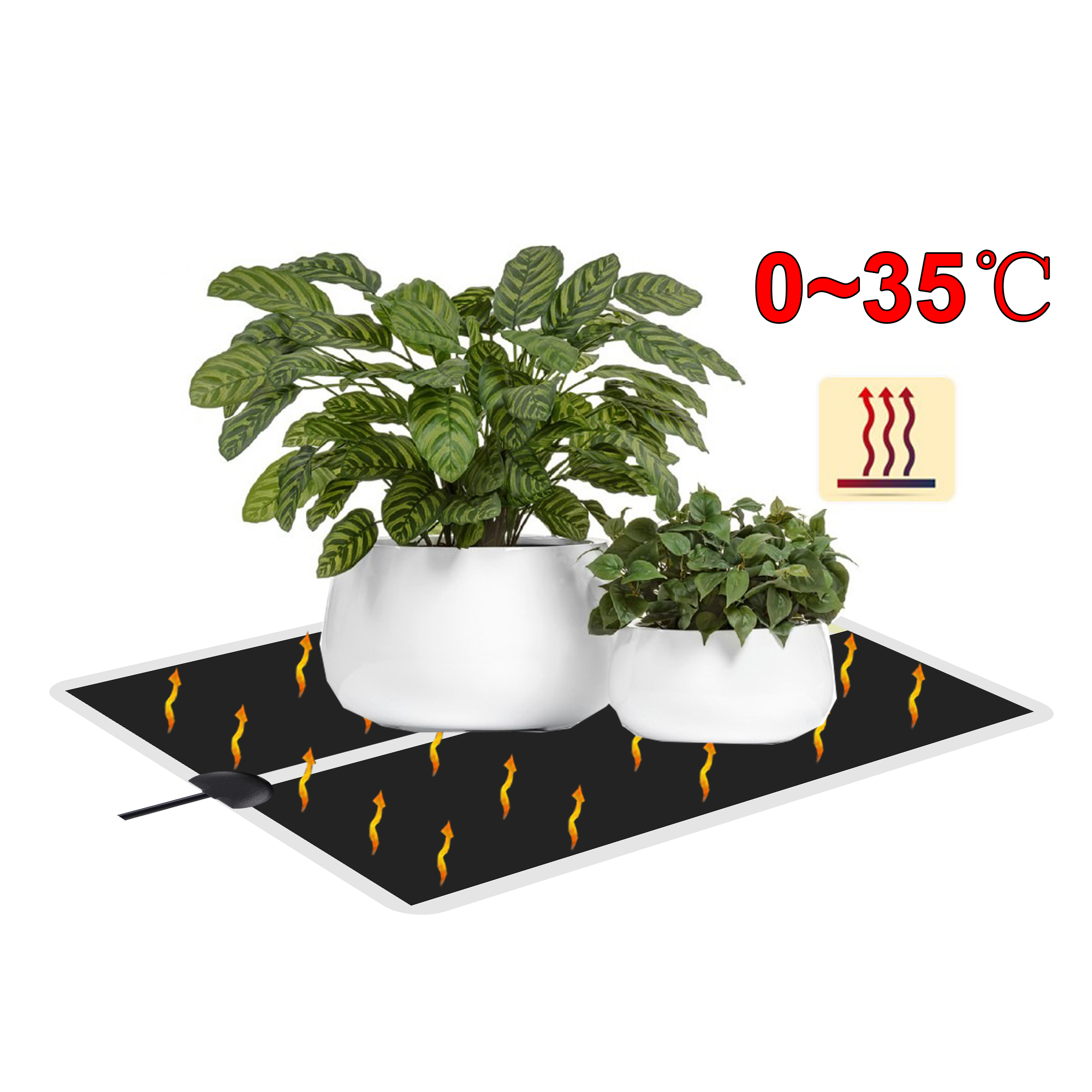 5~45W Seedling Heat Mat 220V~2 - Heat Mat Seedling review and price